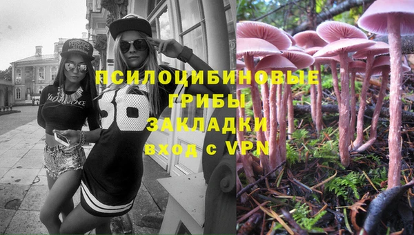 твердый Балахна